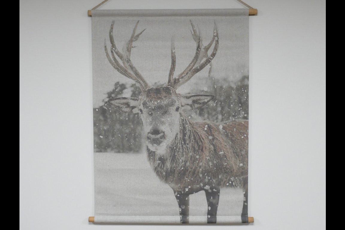 Wall Art - Stag