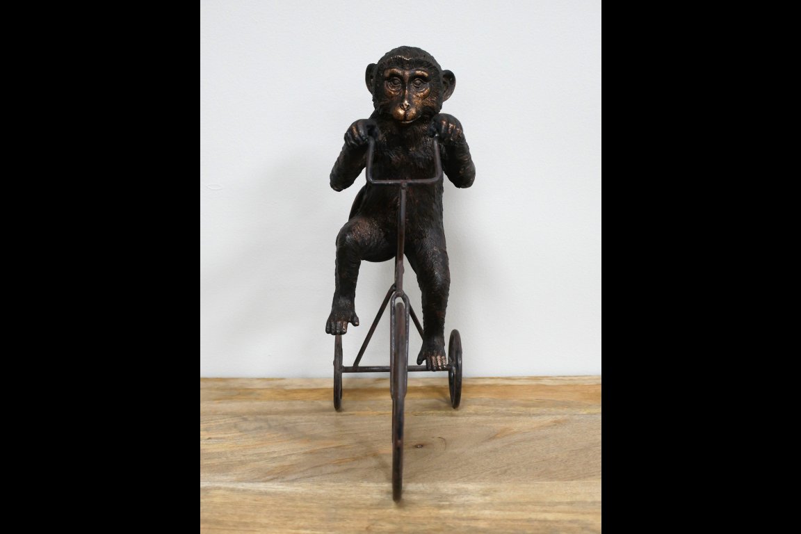 Monkey On Tricycle