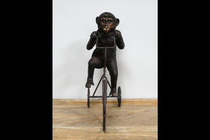 Monkey On Tricycle