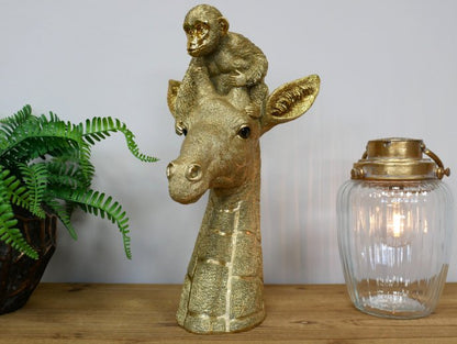 Giraffe & Monkey
