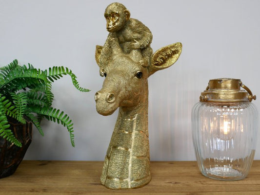 Giraffe & Monkey