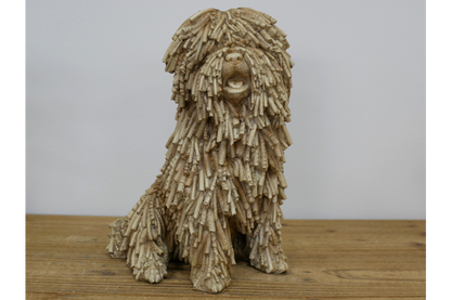 Sitting Shaggy Dog