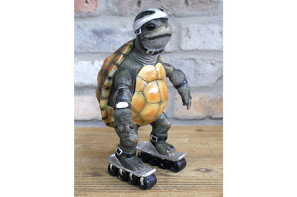 Speedy Tortoise