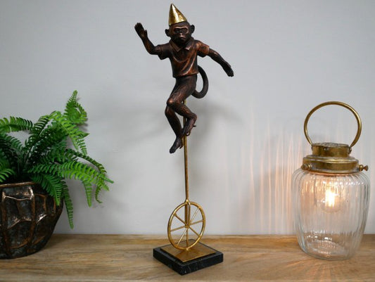 Monkey On Unicycle