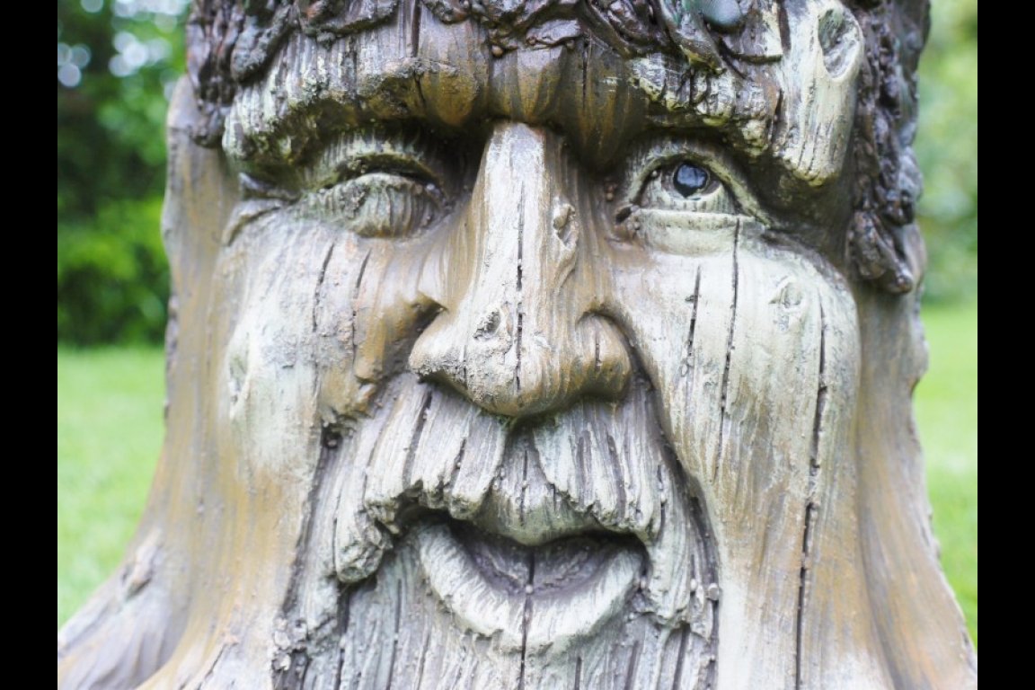 Tree Stump Planter