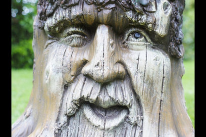 Tree Stump Planter
