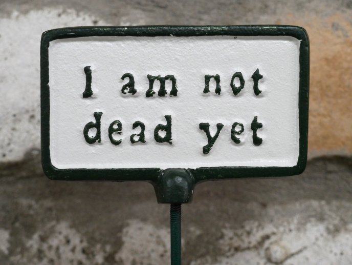 Plant Sign - Not Dead Yet