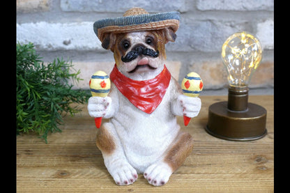Mexican Bulldog