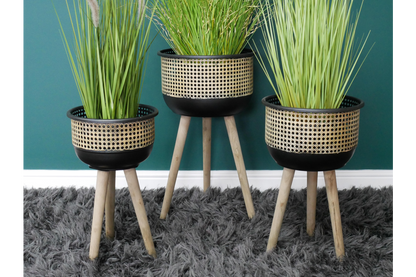 Set Of Three Planters