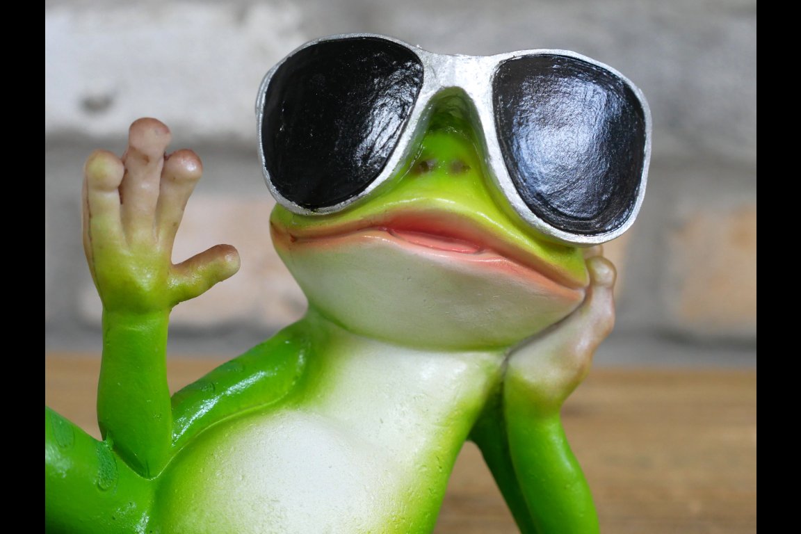 Chilling Frog
