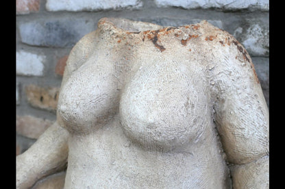 The Body