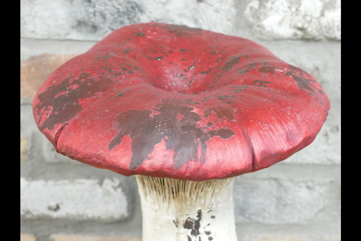 Mushroom