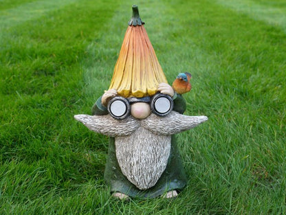 Gnome With Solar Lights