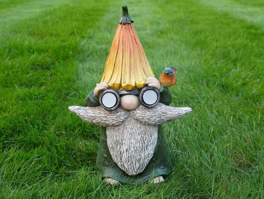 Gnome With Solar Lights