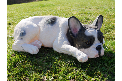 Laying Dog