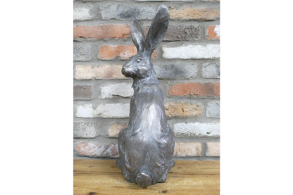 Sitting Rabbit