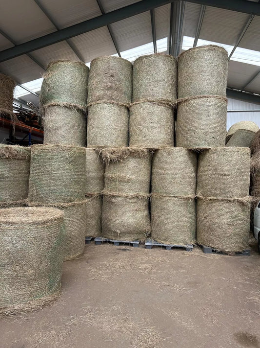 LARGE HAY BALES MEADOW HAY ROUND BALES HORSES NO RAGWORT NO SPRAY