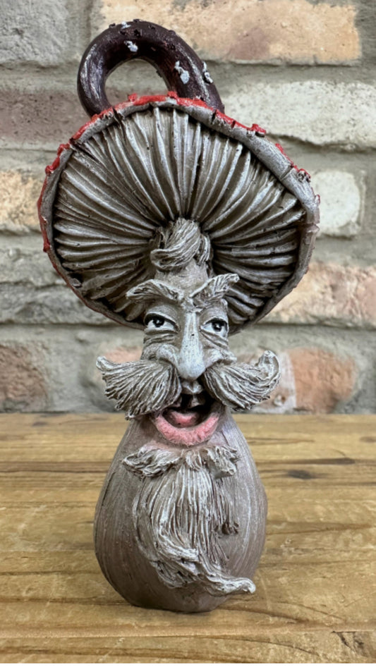 SET OF 4 COMICAL MUSHROOM FACE PEOPLE COLOURFUL TOADSTOOLS OUTDOOR NEW & BOXED