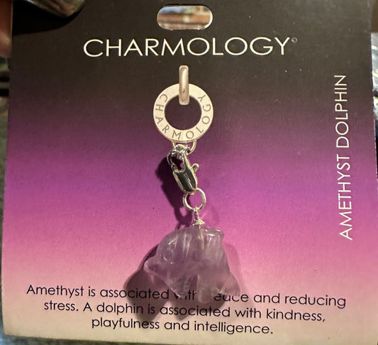 AMETHYST DOLPHIN CHARM CHARMOLOGY BRACELET BIRTHSTONE PURPLE NEW