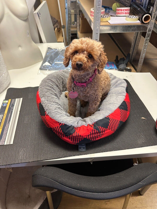 DZ AIMIER LUXURY SMALL GREY/RED WARM FLUFFY PET BED DOG PUPPY KITTEN FUR ROUND